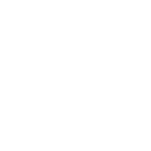 Link